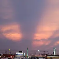 楽天モバイル ケーズデンキ 茂原本店の写真・動画_image_210278