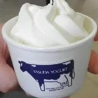 ヤスダヨーグルトの写真・動画_image_21039