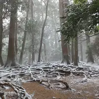 魔王殿の写真・動画_image_2105
