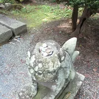カッパ淵の写真・動画_image_2112
