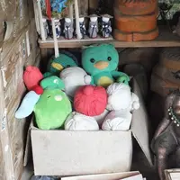 カッパ淵の写真・動画_image_2113
