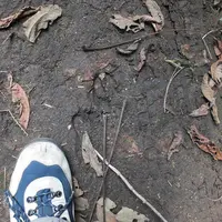 デンデラ野の写真・動画_image_2114