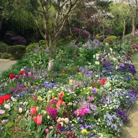 地中美術館の写真・動画_image_21205