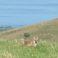 宗谷岬の写真・動画_image_2126