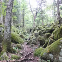 五百羅漢の写真・動画_image_2137