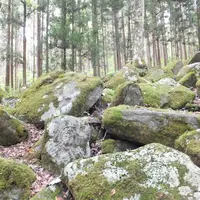 五百羅漢の写真・動画_image_2138