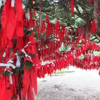 卯子酉様の写真・動画_image_2139