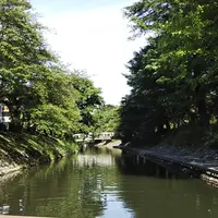 松川遊覧船（富山観光遊覧船）の写真・動画_image_216384