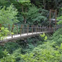 高尾山の写真・動画_image_2168