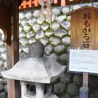 千本鳥居の写真・動画_image_216808