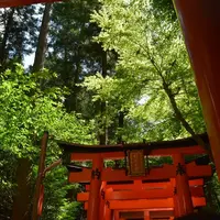 千本鳥居の写真・動画_image_216814