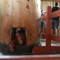 東大寺の写真・動画_image_216972