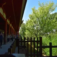 東大寺の写真・動画_image_216973
