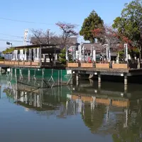 苧ヶ瀬池（おがせ池）の写真・動画_image_21735