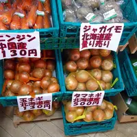 「道の駅」許田・やんばる物産センター（やんばる物産株式会社）の写真・動画_image_2182