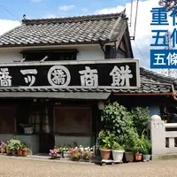重要伝統的建造物群保存地区（文化庁）の写真・動画_image_218203