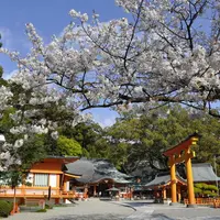 那智の滝の写真・動画_image_2189