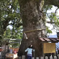 那智の滝の写真・動画_image_2190