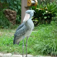 上野動物園の写真・動画_image_219612