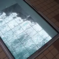 渦の道の写真・動画_image_22045