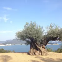 小豆島ヘルシーランドの写真・動画_image_22093