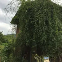 ブック・カフェ・ギャラリー PNB-1253の写真・動画_image_225215