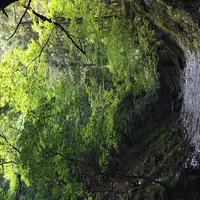 柴原温泉 手打ちそばの宿 柳屋の写真・動画_image_225533