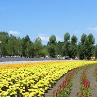 ファーム富田の写真・動画_image_226046