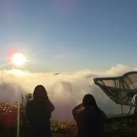 雲海テラスの写真・動画_image_226080
