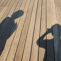 横浜港大さん橋国際客船ターミナル（大さん橋）の写真・動画_image_2269