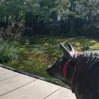 法輪寺の写真・動画_image_228906