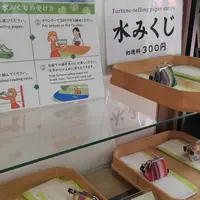 下鴨神社前（バス）の写真・動画_image_228909