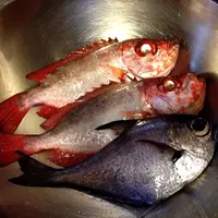 宝島の写真・動画_image_22967