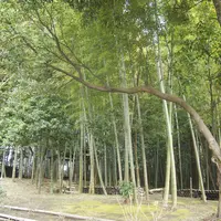 tawaraya 美山の写真・動画_image_23122