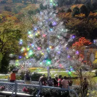 箱根ガラスの森美術館の写真・動画_image_2320