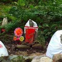 恐山冷水の写真・動画_image_23211