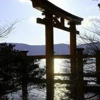 箱根神社の写真・動画_image_2325