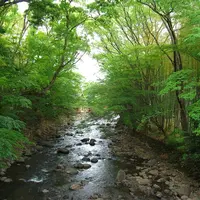 修善寺温泉の写真・動画_image_2328