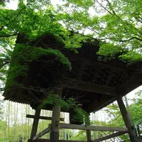 修禅寺の写真・動画_image_2330