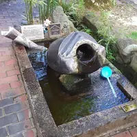 湧き水の写真・動画_image_2349