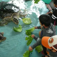 アーラ浜の写真・動画_image_234983