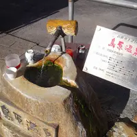 湧き水の写真・動画_image_2350