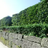知覧武家屋敷庭園群の写真・動画_image_235045