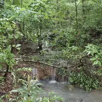 あじま館の写真・動画_image_235662