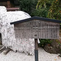 安井金比羅宮の写真・動画_image_235740