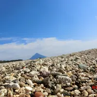 番所鼻自然公園の写真・動画_image_235795
