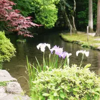 上賀茂神社（賀茂別雷神社）の写真・動画_image_2364