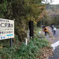 尚仁沢湧水の写真・動画_image_236857