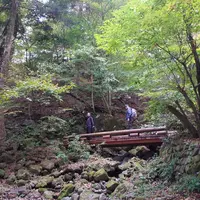 尚仁沢湧水の写真・動画_image_236858