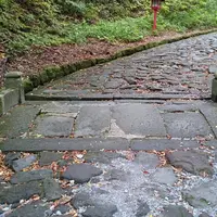 石畳の参道の写真・動画_image_238806